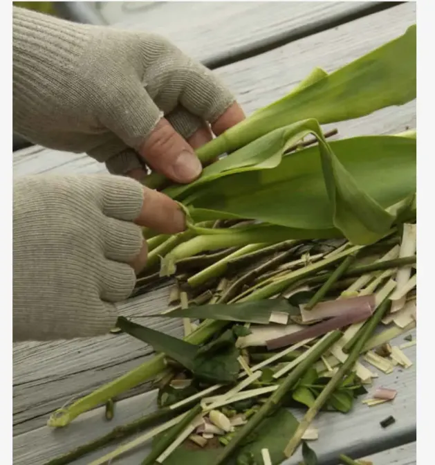 BestSilver Zilver handschoenen